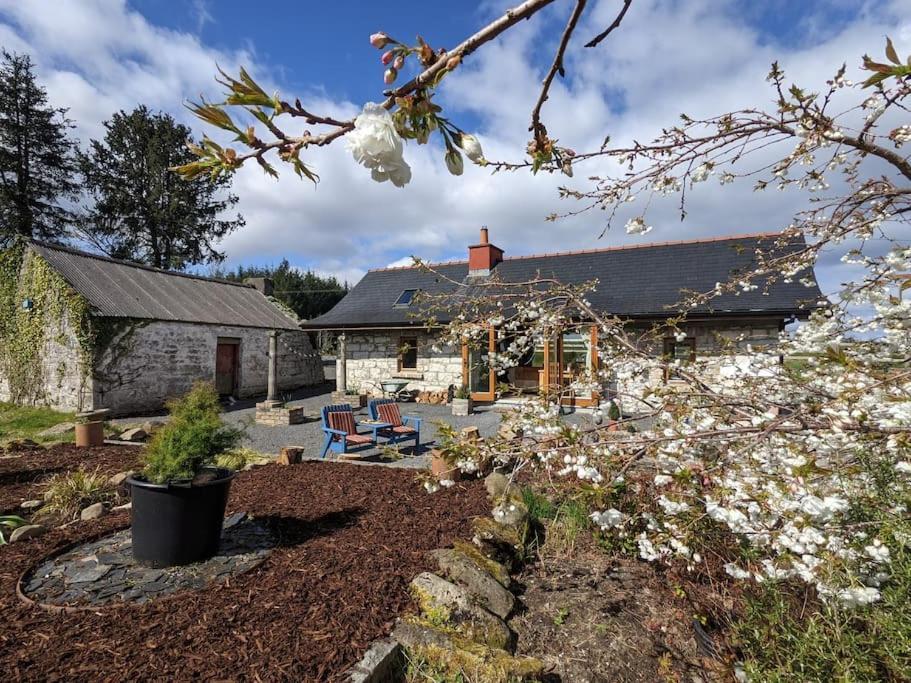 Secluded Private Cottage Hot-Tub, Sauna & Fire-Pit Carrick on Shannon Kültér fotó