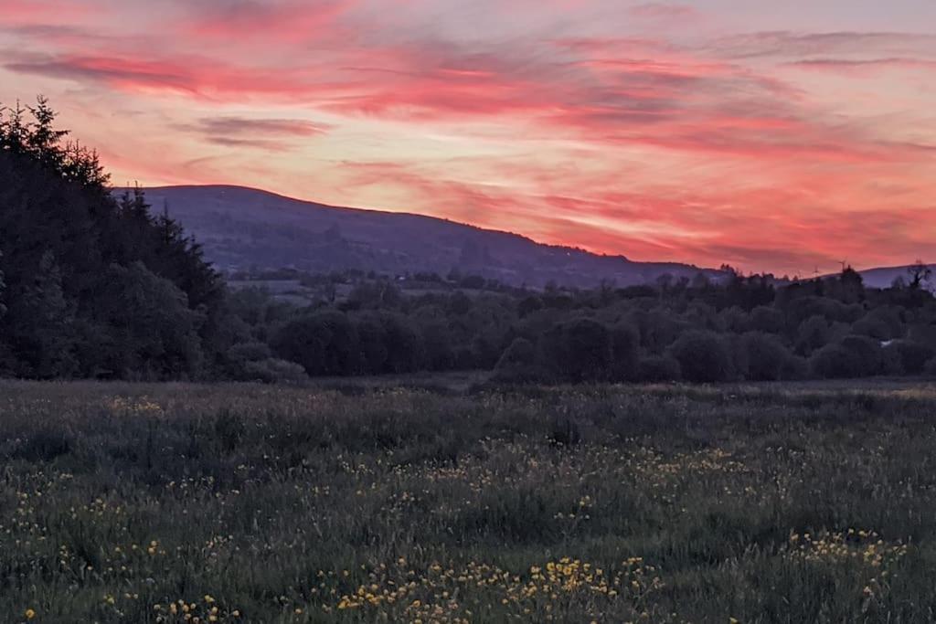 Secluded Private Cottage Hot-Tub, Sauna & Fire-Pit Carrick on Shannon Kültér fotó