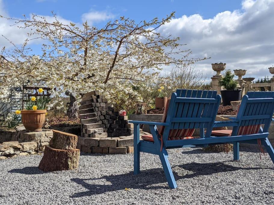 Secluded Private Cottage Hot-Tub, Sauna & Fire-Pit Carrick on Shannon Kültér fotó