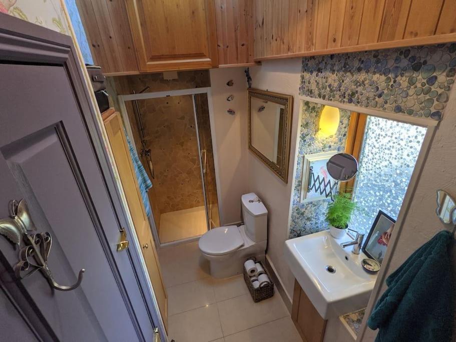 Secluded Private Cottage Hot-Tub, Sauna & Fire-Pit Carrick on Shannon Kültér fotó